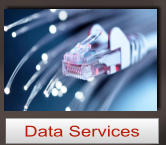Data Services